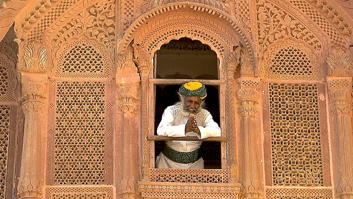 Jaipur, Rajasthan, Indien