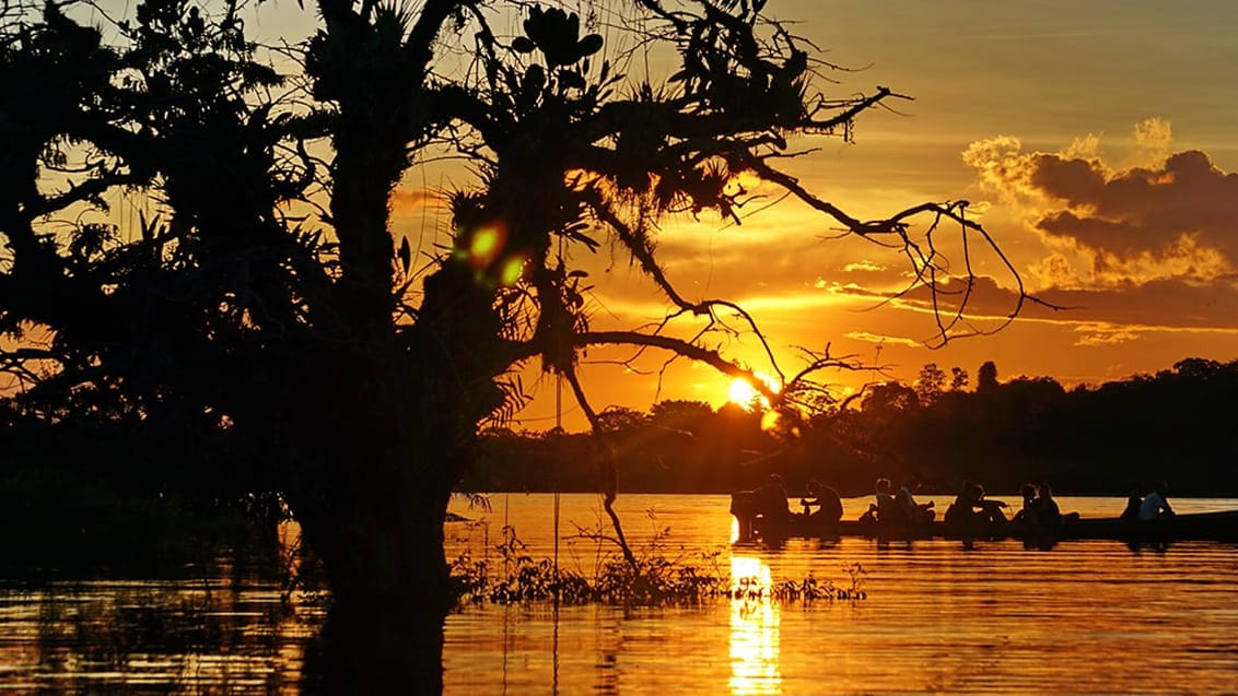 Solnedgang over Laguna Grande i amazonjunglen i Ecuador