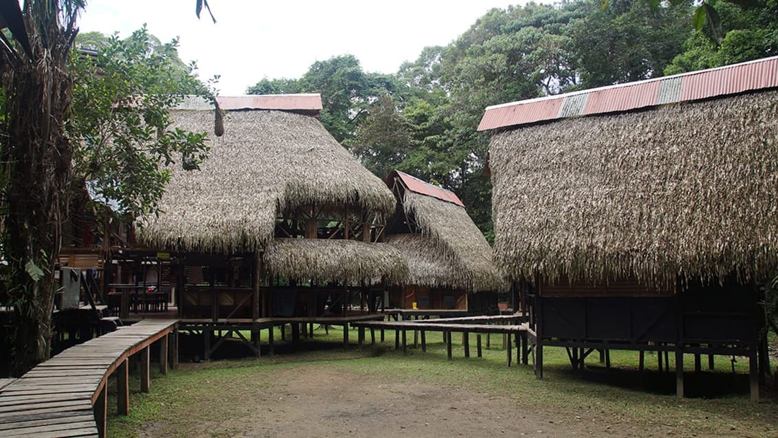 Jamu Lodge i Cuyabenoreservatet i Amazonjunglen i Ecuador