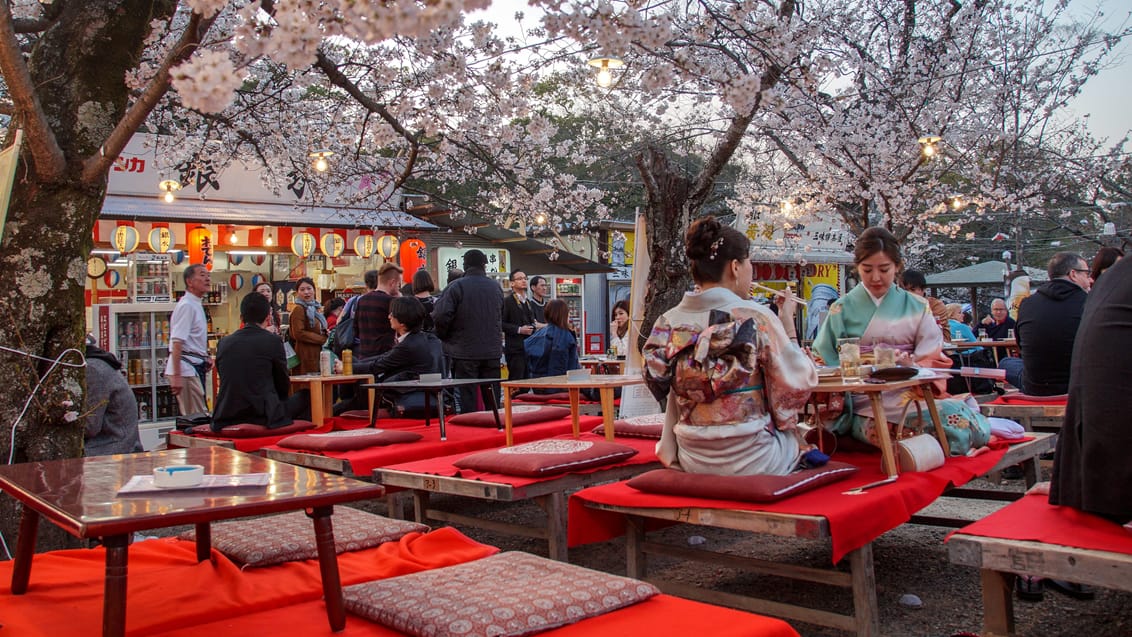 Tag familien med på eventyr i Japan