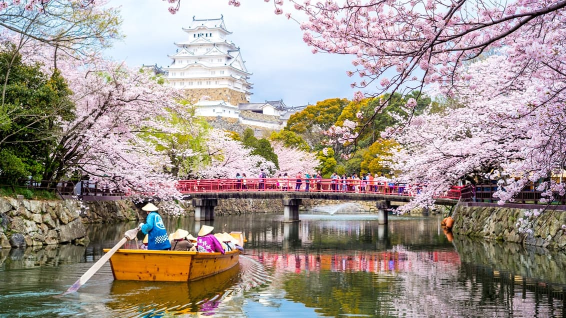 Tag med Jysk Rejsebureau på eventyr i Japan