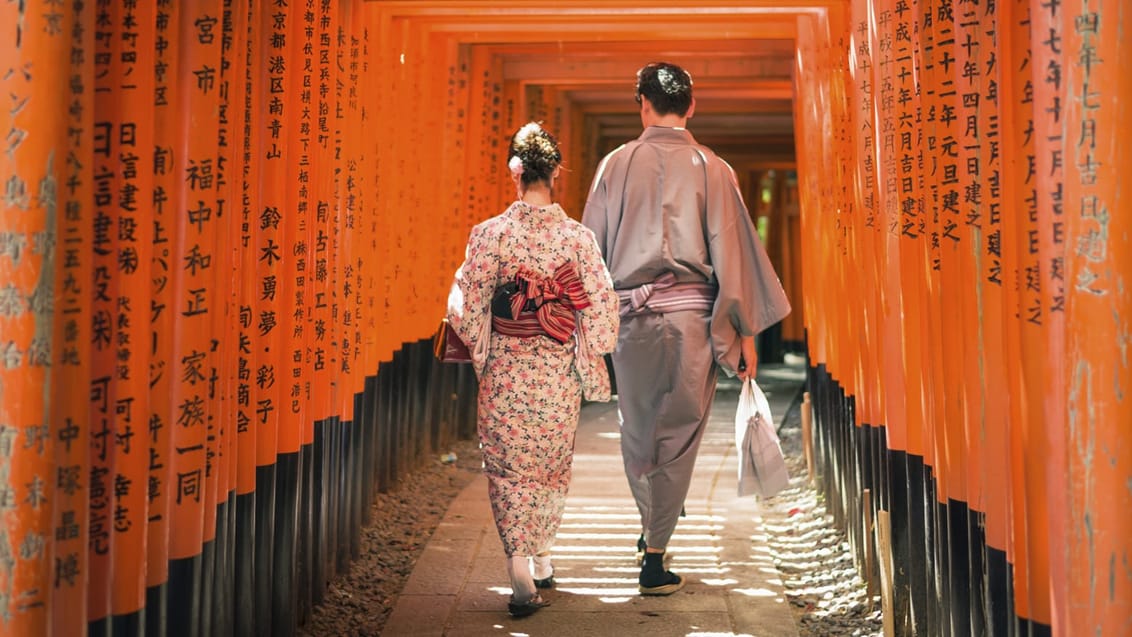 De 8.000 røde Torii porte ved Fushimi Inari-Taisha i Kyoto
