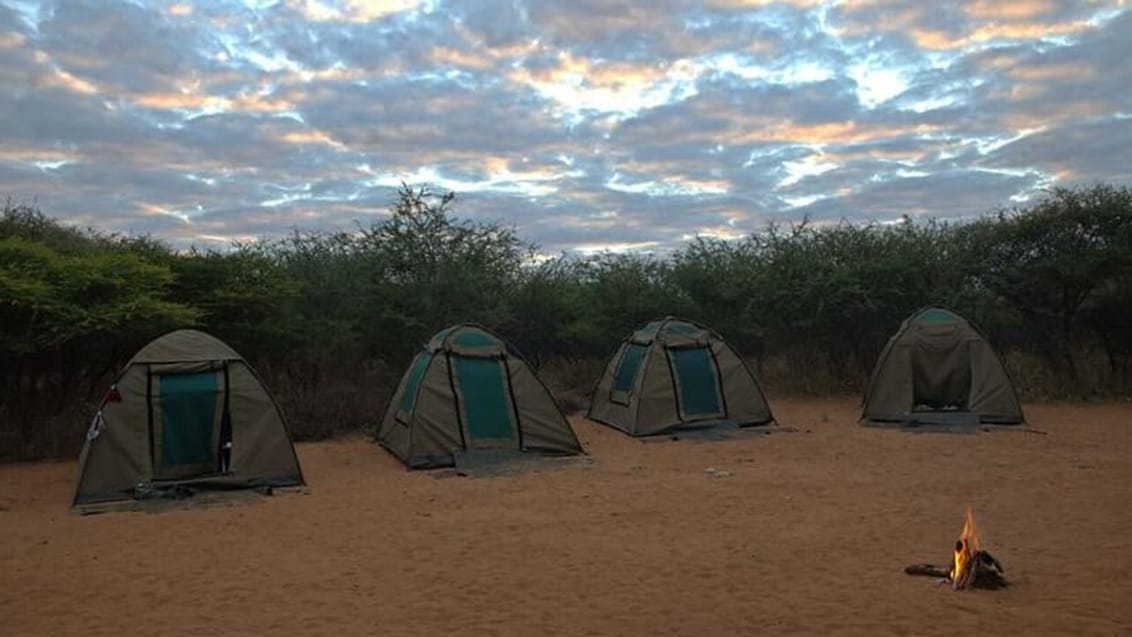 Kalahari, Camp, Botswana