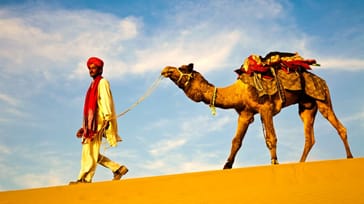 Oplev kamelmarkederne i Rajasthan