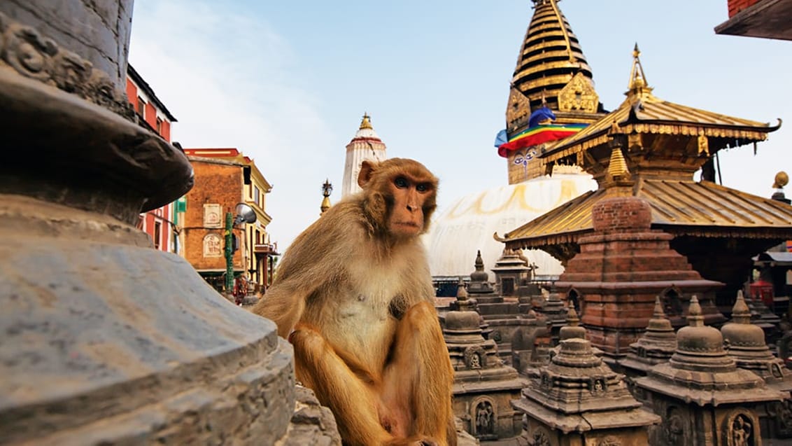 Kathmandu