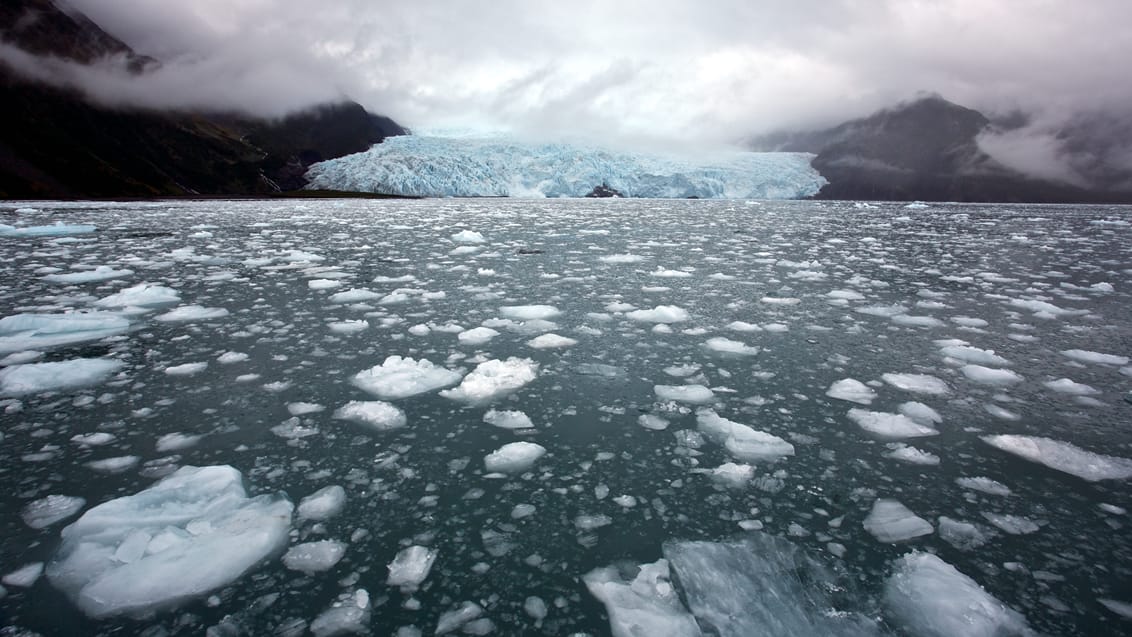 Kenai Fjords National Park, Alaska, USA