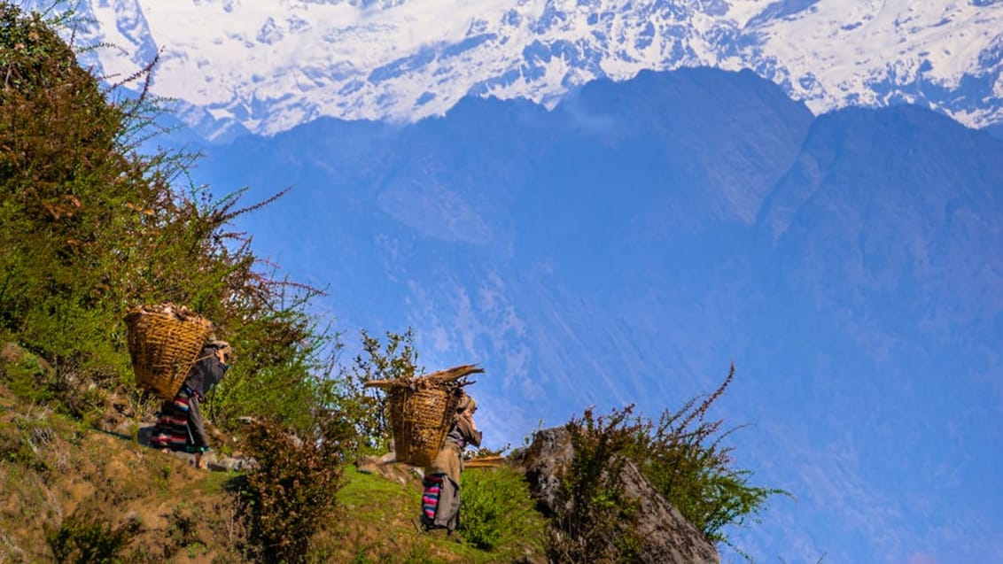 Lokale kvinder i Langtang