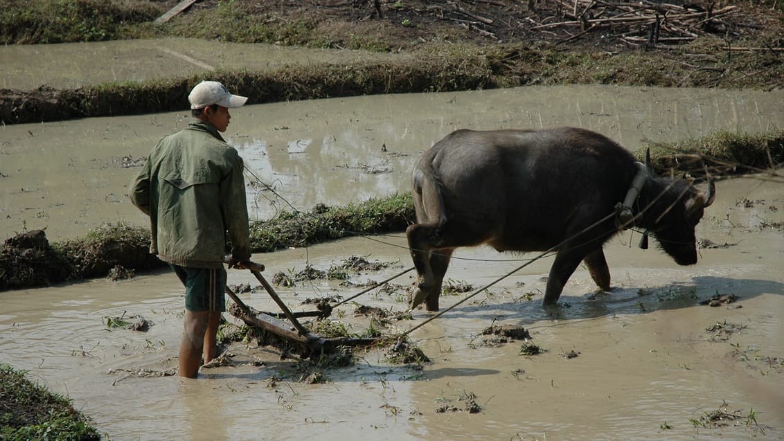 Laos Luang Namtha