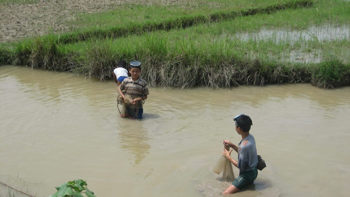 Laos Luang Namtha