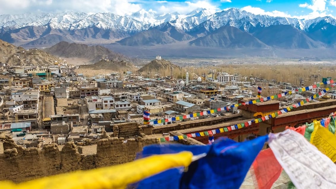 Leh City ved indisk Himalaya