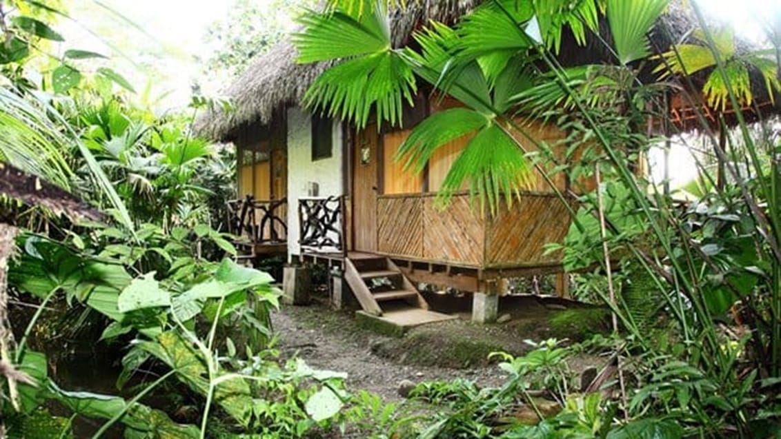 Liana Lodge i Amazonjunglen i Ecuador