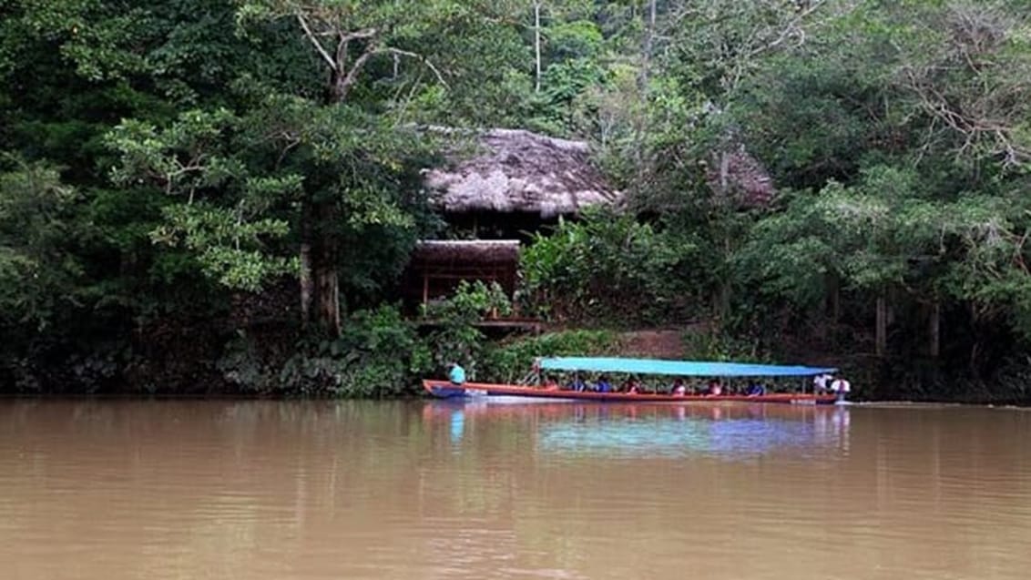 Liana Lodge i Amazonjunglen i Ecuador
