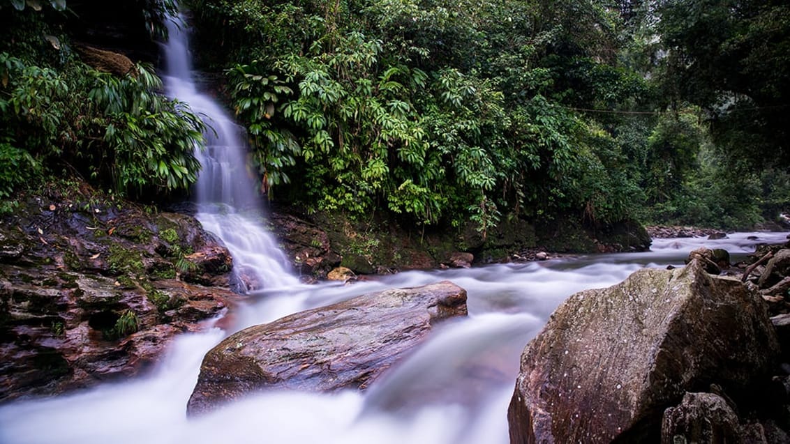 Bagagen fragtes over floden Lost CIty Trek Colombia