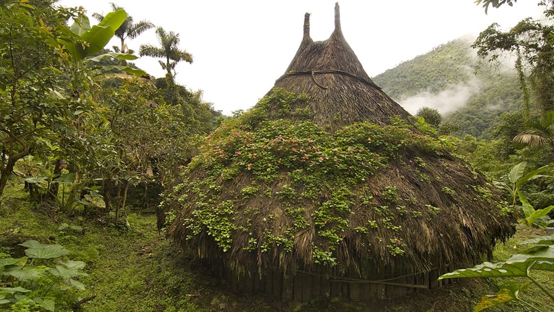 Terrasser ved Lost City Colombia