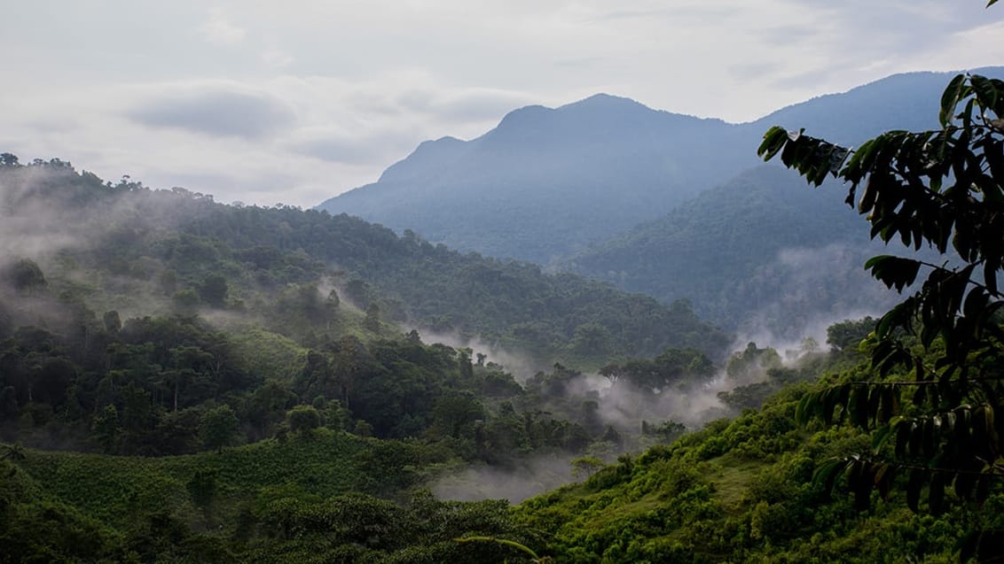 Lost City Trek Colombia