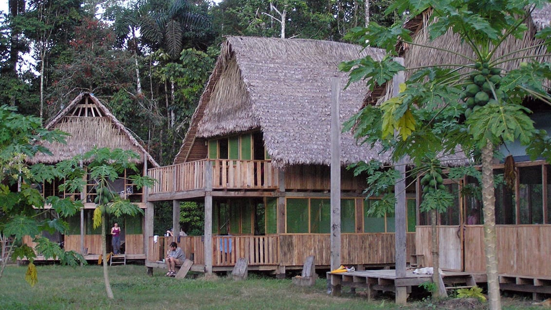 Manu Nationalpark i Peru