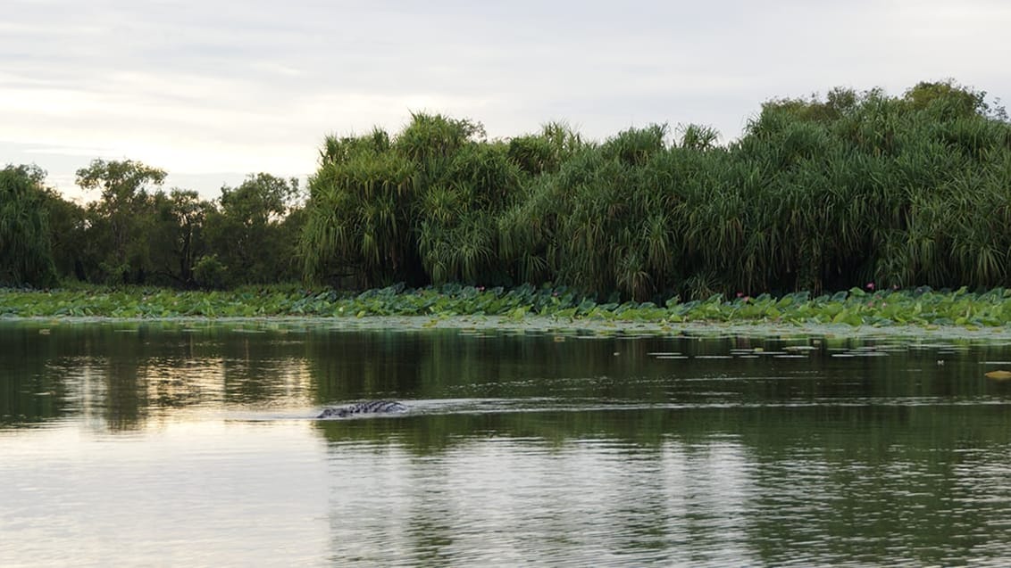 Mary River, Kakadu