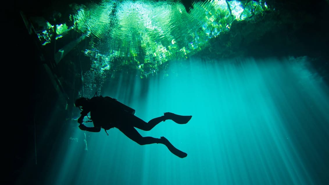 Indgang til cenote, Yucatan