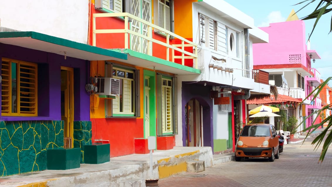 Farverige huse på Isla Mujeres