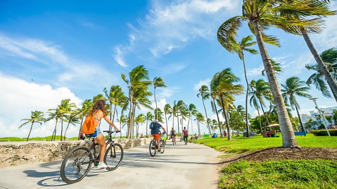 Lej en cykel og udforsk Miami