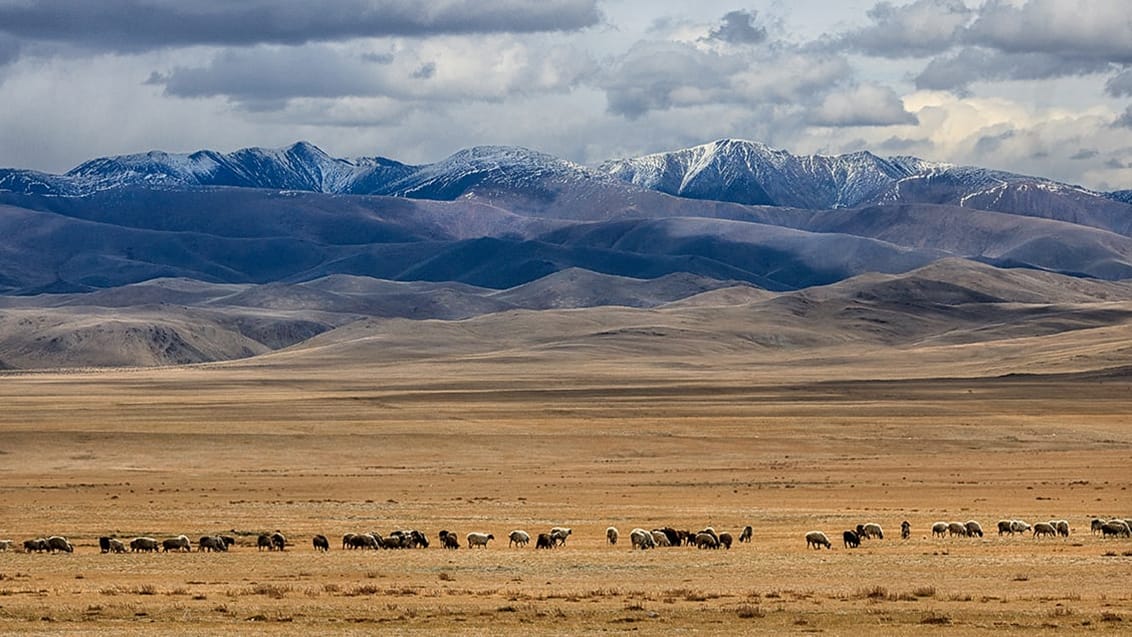 Naturen er rå og smuk i Mongoliet