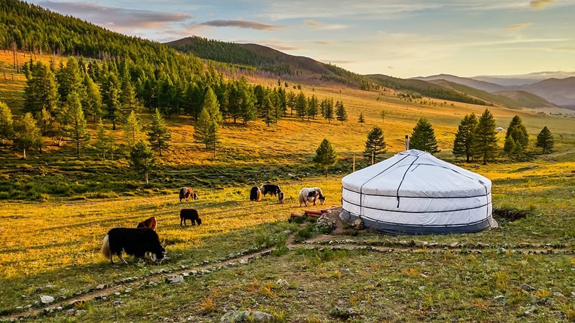 Mongolsk kvinde foran sit hjem