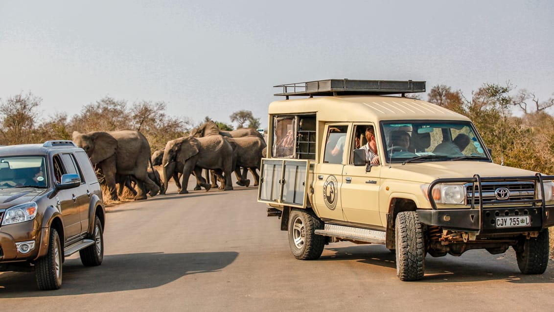 Mpala Safari Lodge, Sydafrika