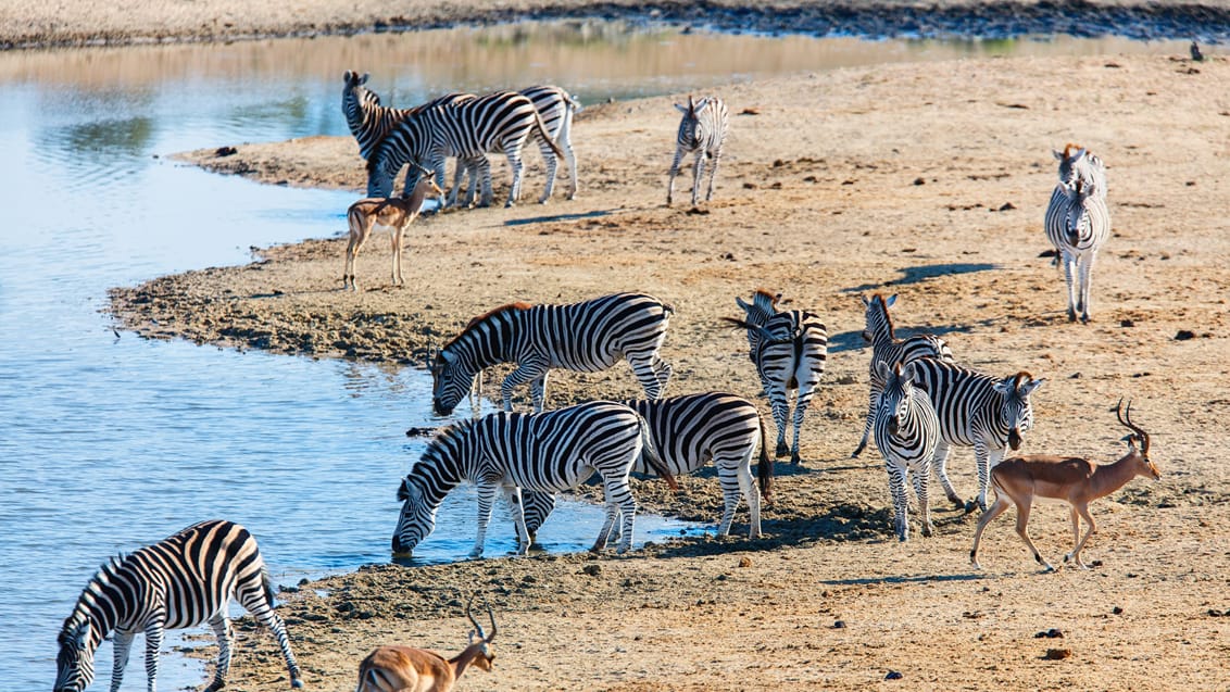 Mpala Safari Lodge, Sydafrika