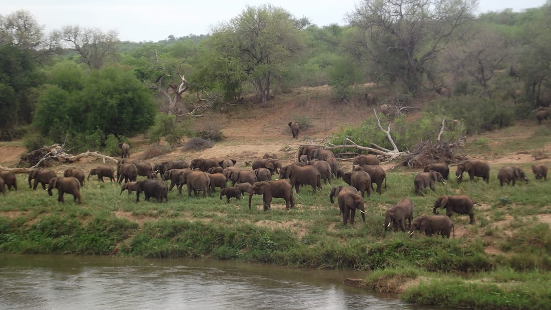 Mpala Safari Lodge, Sydafrika