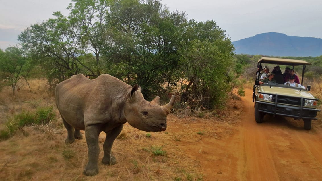 Mpala Safari Lodge, Sydafrika