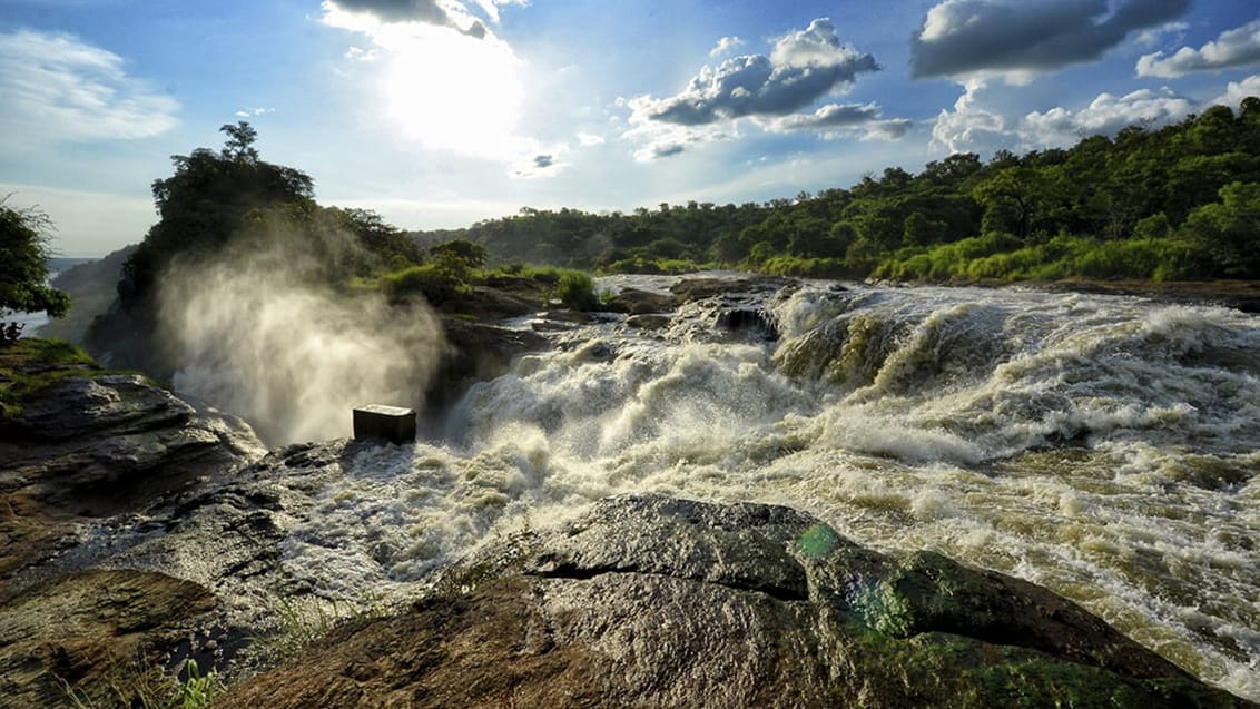 Murchison Falls nationalpark