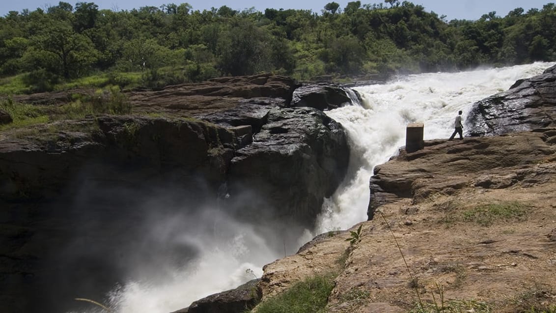 Murchison Falls nationalpark