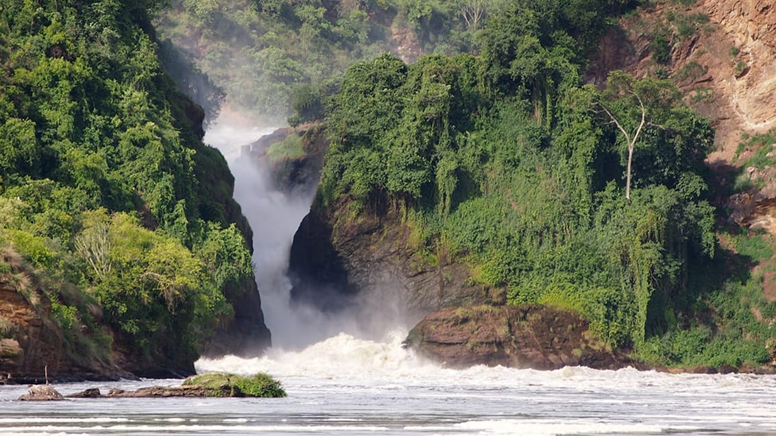 Murchison Falls nationalpark i Uganda