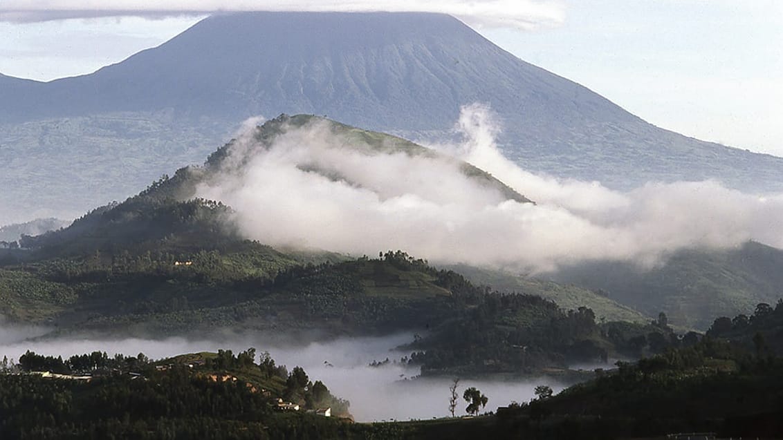 Natonalparken Volcanoes i Rwanda