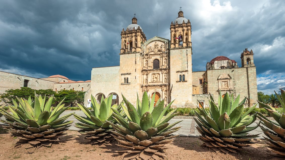 Santo Domingo de Guzman katedralen i Oaxaca
