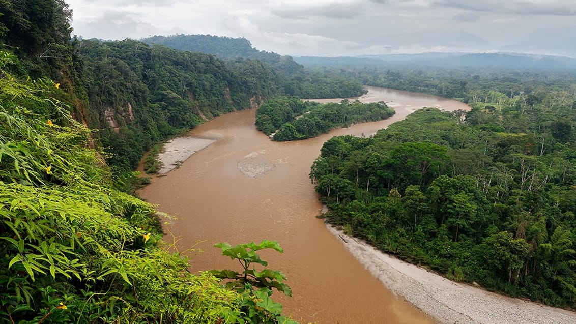 Amazon junglen