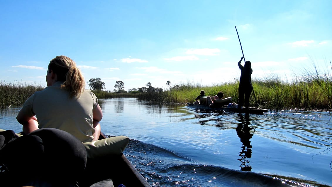 Okavangodeltaet, Maun, Botswana