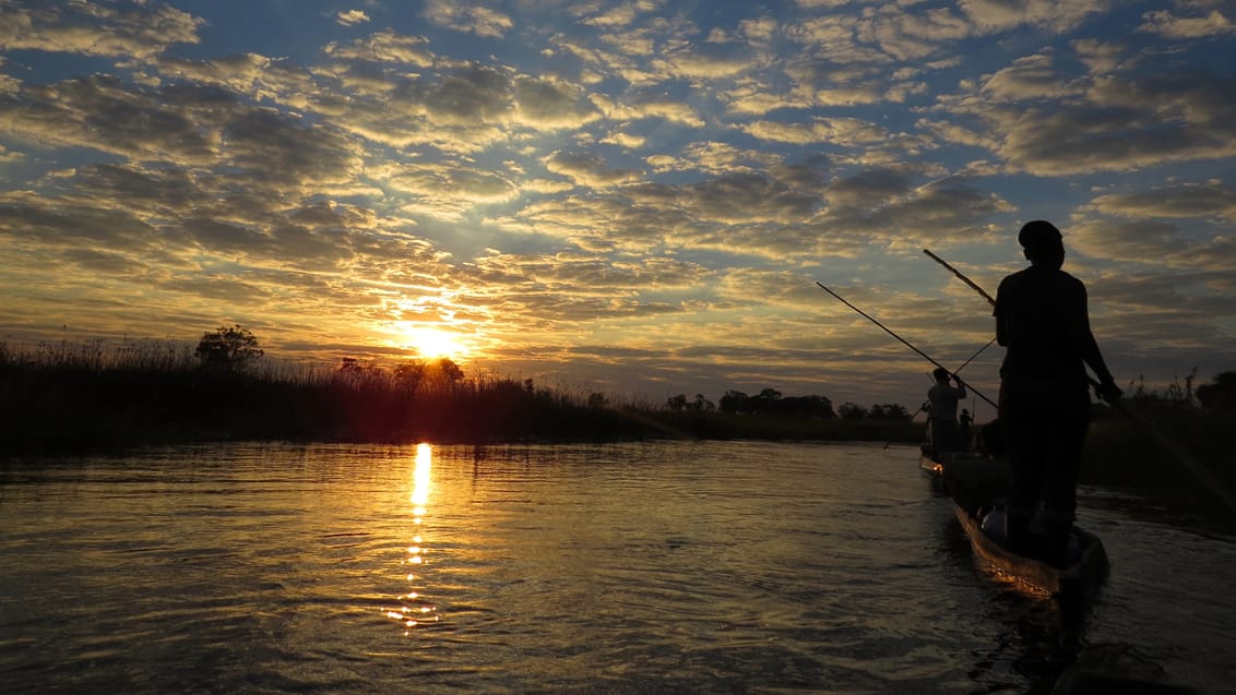 Okavangodeltaet, Maun, Botswana