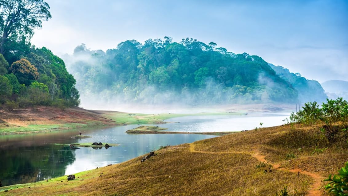 Periyar National Park, Kerala