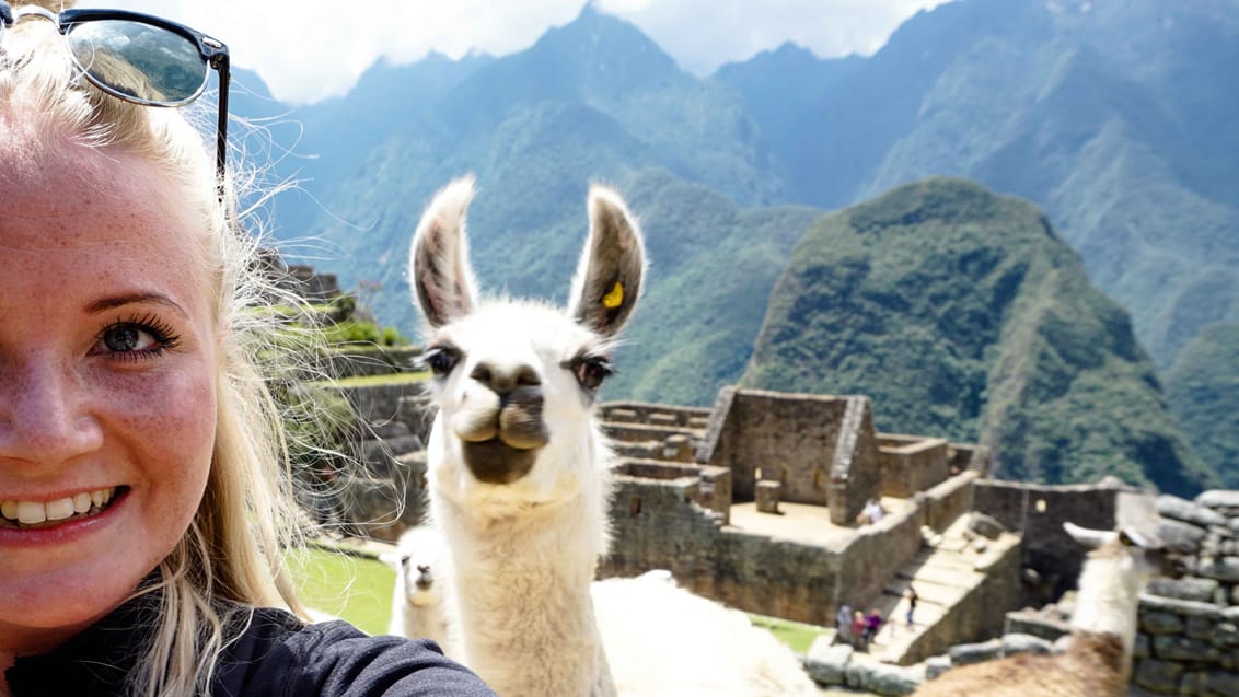 Lama-selfie!!!