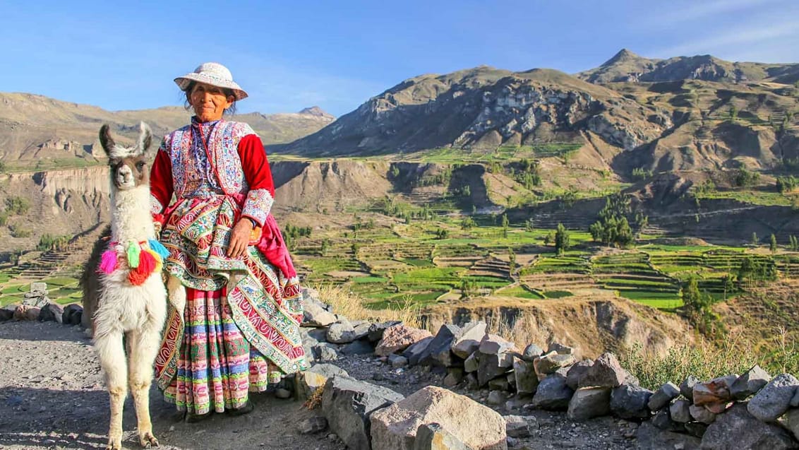 Colca Canyon kan både opleves som dagstur fra Arequipa eller flere dages vandretur