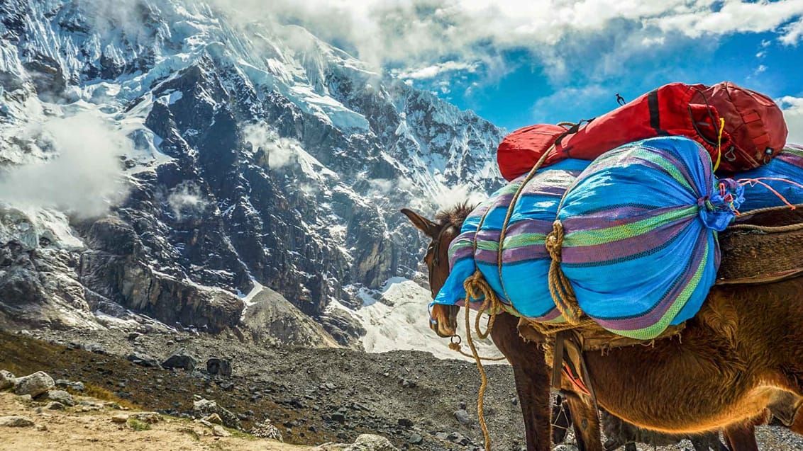 Det højeste bjergpas på Salkantay trekket er 4.650 meter over havets overflade. Undervejs på trekket vil du kunne opleve små hyggelige landsbyer, sneklædte bjerge og turkise laguner