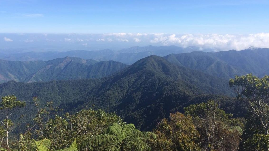 Pico Turquino