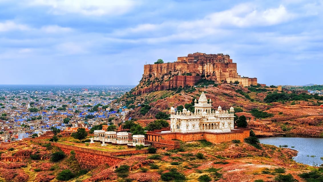 Jodhpur, Rajasthan, Indien.