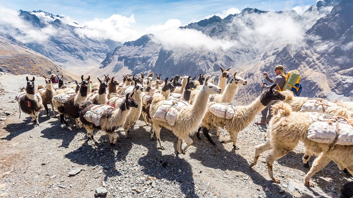 Rejs på egen hånd i Bolivia