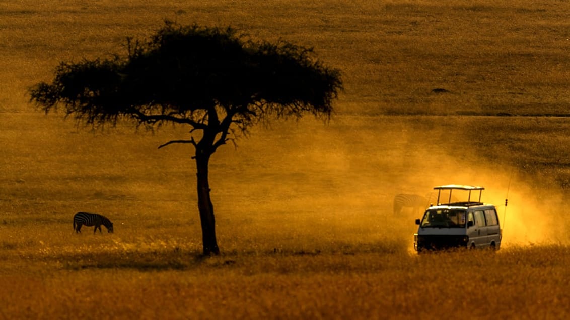 Safari i Murchison Falls National Park