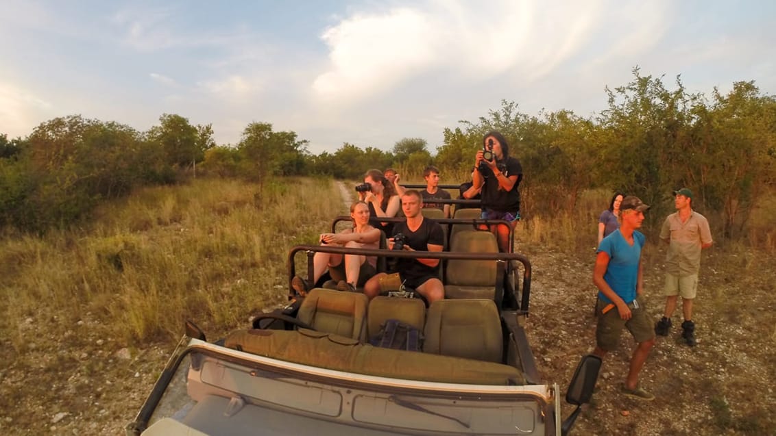 I bushen med jeep for at spotte vilde dyr og lave optællinger