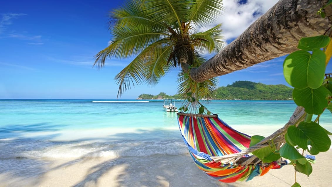 Tid til afslapning, Seychellerne