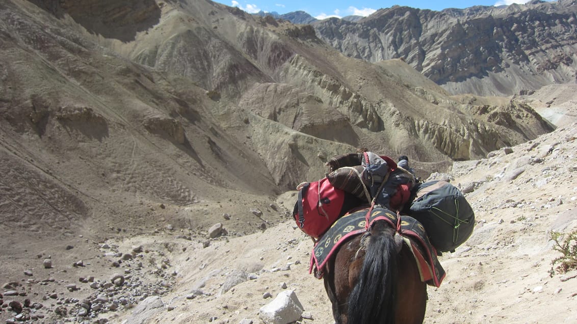 Sham Trek, Indien