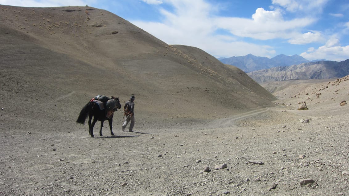 Sham Trek, Indien